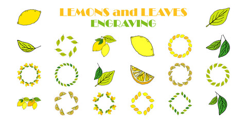 Set: Lemon vector pattern. Tropical summer citrus fruit engraved style background. Vector illustration for web design or print.