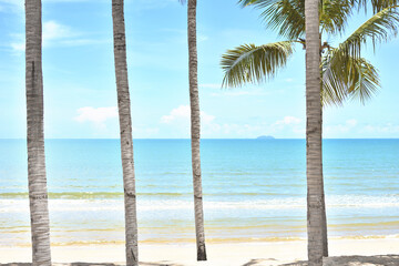 Tropical beach in Thailand, Coconut tree or palm tree on the Beach.