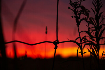 sunset with barbed wire