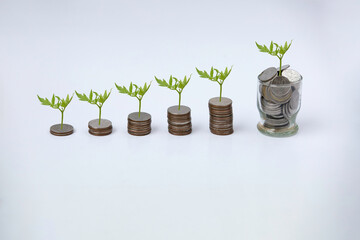 Fototapeta na wymiar The growth of coin stack are on top with the seeding tree. This is an investment or retirement fund earning concept.