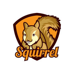 squirrel logo isolated on white background vector illustration
