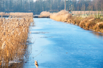 beautiful nature reserve in the Netherlands in winter, frozen ditch