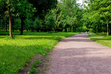 Fototapeta na wymiar sunny green park without people