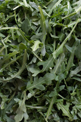 arugula salad, fresh and healthy greens, top view texture