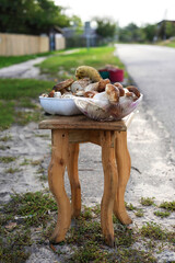 Porcini Mushrooms in buskets placed near road for selling