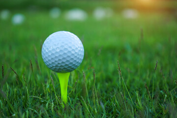 Golf ball on tee ready to be shot. golf ball on tee in the evening golf course with sunshine.