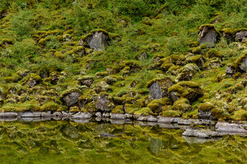 Nature of the Asbyrgi canyon, the north of Iceland