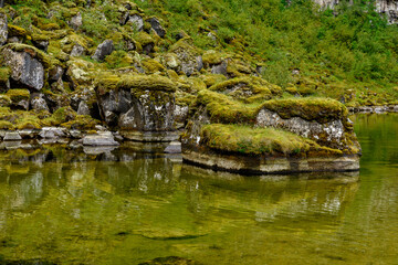 Fototapeta na wymiar Nature of the Asbyrgi canyon, the north of Iceland