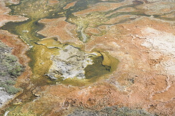 Upper terrace mammoth hot springs