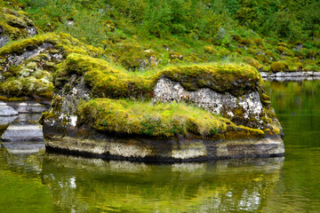 Nature of the Asbyrgi canyon, the north of Iceland