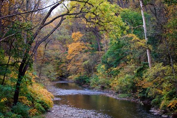 Colorful fall foliage scenes in Philadelphia's Wissahickon Valley on an early autumn afternoon.