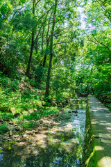 Fototapeta premium 東京都世田谷区等々力にある等々力渓谷の景色