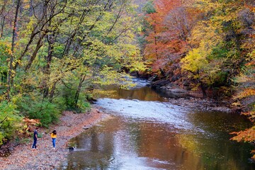 Colorful fall foliage scenes in Philadelphia's Wissahickon Valley on an early autumn afternoon.