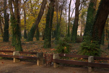 Autumn in Helikon park in Keszthely in Hungary,Europe
