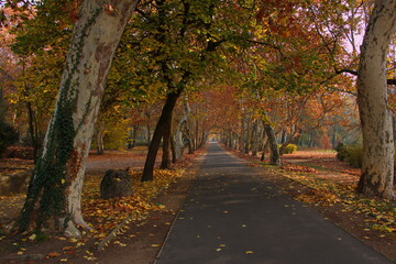Naklejka premium Autumn in Helikon park in Keszthely in Hungary,Europe 