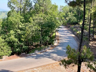 Metalled path in the park