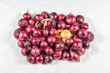 Onions red and white on a background of light fabric top view