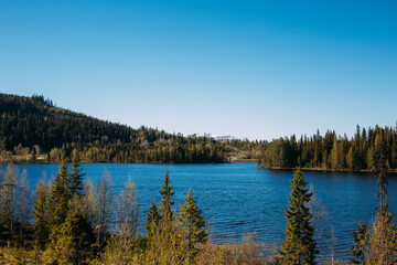 Fototapeta na wymiar beautiful blue lake in a forest in Sweden