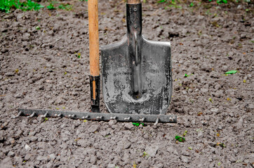 Tools for gardening stand in the garden on fertile land