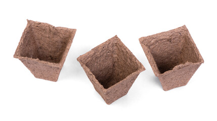 Three empty peat pots