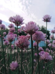 Processed with VSCO with l4 preset