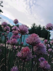 Processed with VSCO with l4 preset