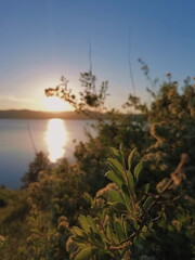 Processed with VSCO with l6 preset