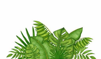 Aquarellgrenze mit grünen tropischen Blättern, Regenwald- / Dschungelpalmenzweigen. Handgezeichnete Vorlage. Natursommerclipartelement auf weißem Hintergrund für Designeinladungen, Grußkarten, Plakat.