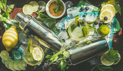 
Citrus with ice, mint and sugar for refreshing summer drink
Cocktail shakers with ice, mint, lime and lemon on dark background