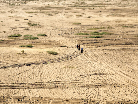 Blendow Desert (Pustynia Blendowska) in Poland. The largest inland, far from any sea,  area of loose sand in Central Europe. Unique tourist attraction