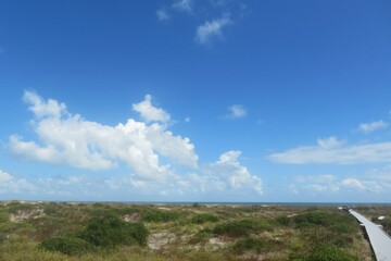 Fototapeta na wymiar Beautiful view on dunes and ocean in Atlantic coast of North Florida