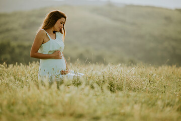 Young pregnant woman in the field