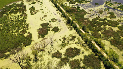 Aerial view of open water marsh. Midwestern landscape, wilderness from above. Daytime, summer