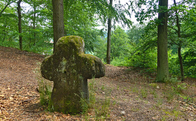 Abandoned medieval conciliation cross, Czech Republic