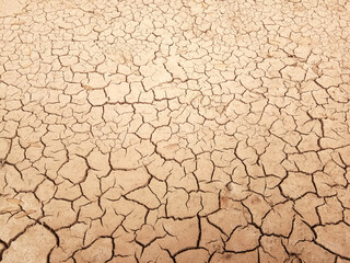 The ground has cracks in the top view for the background