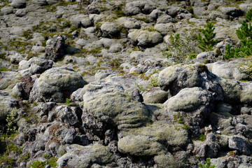Nature of Iceland