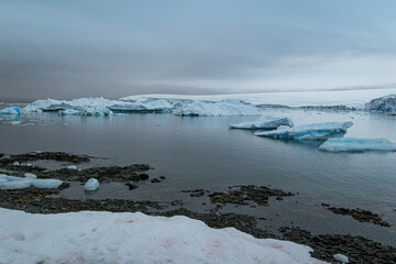 Icebergs from Prospect Point, Antarctica
