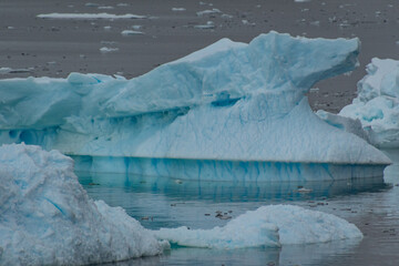 Icebergs from Prospect Point, Antarctica