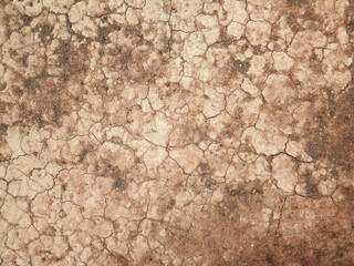 The ground has cracks in the top view for the background