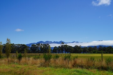 New Zealand landscape - meadow bush trees mountain blue sky clouds.