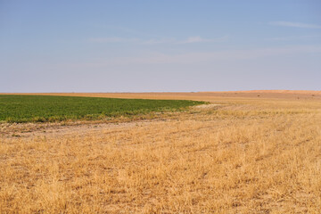 Obraz premium agriculture fields irrigated with groundwater in desert area