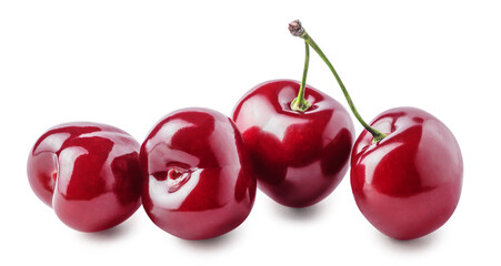 Four cherry fruits with green stem isolated on white background. Clipping path