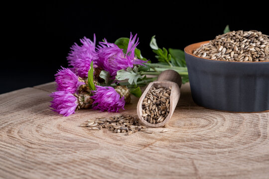 Milk thistle (Silybum marianum) seeds and flowers on a wooden background. Homeopathy concept