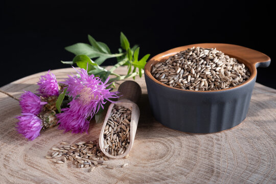 Milk thistle (Silybum marianum) seeds in wooden spoon and ceramic bowl, flowers on a wooden background. Medical plants. Alternative medicine. 