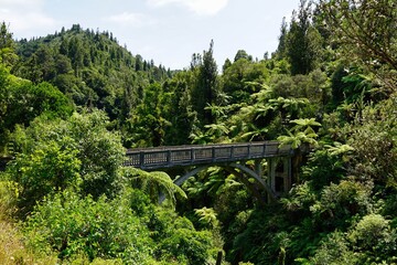 Bridge to Nowhere - Whanganui National Park - historical concrete bridge surrounded by lush foliage - landscape.