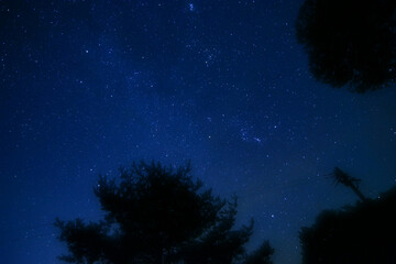 日本の長野にある日本一星空が見える場所 阿智村で撮影した満点の星空