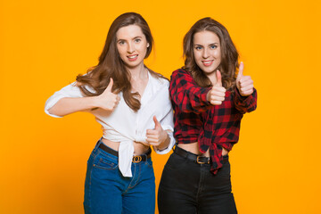 Portrait of two charming cute cunning girls telling each other secrets about other girls isolated on yellow background