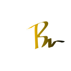 Bv initial letter handwriting and signature logo