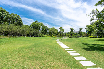 road in park