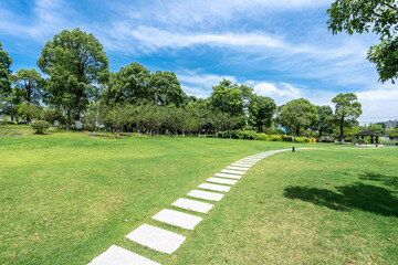 road in park